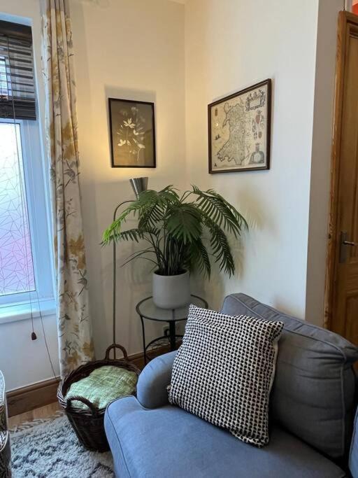 Just The Splott! Sleeps 6, 8 Mins To Stadium. Cardiff Exterior photo